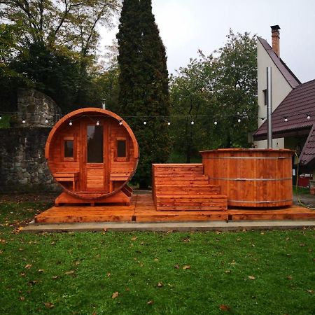 Castelul De Smarald Acomodação com café da manhã Pîngărăciori Exterior foto