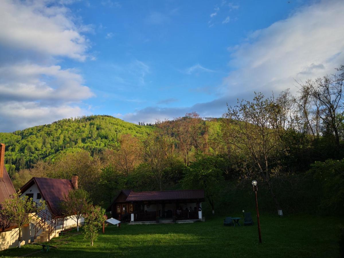 Castelul De Smarald Acomodação com café da manhã Pîngărăciori Exterior foto