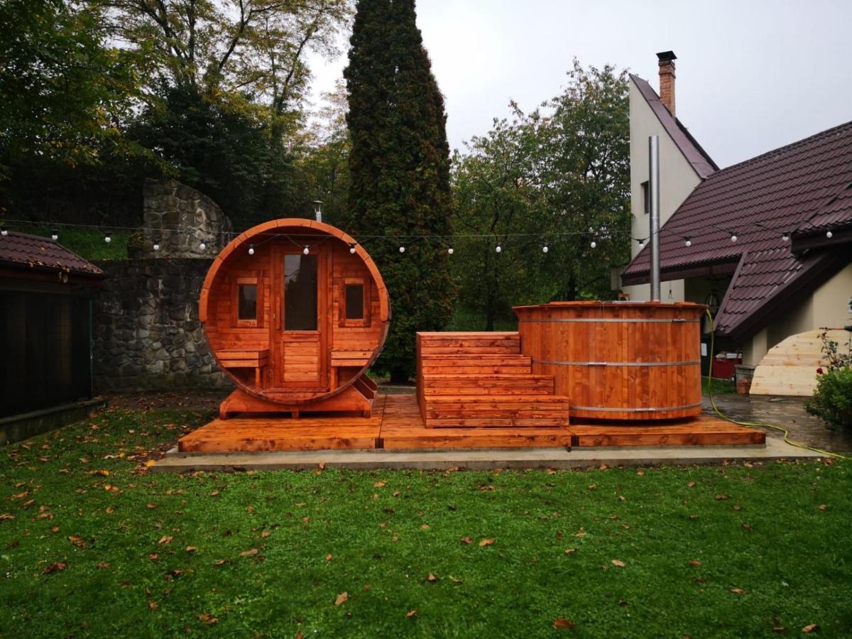 Castelul De Smarald Acomodação com café da manhã Pîngărăciori Exterior foto