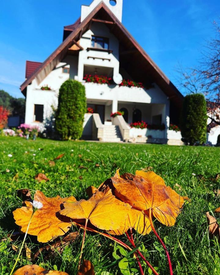 Castelul De Smarald Acomodação com café da manhã Pîngărăciori Exterior foto